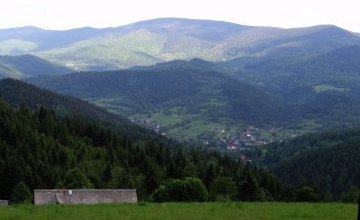 Główny Szlak Beskidzki cz. 8: Leśne historie i Królowa